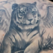 Tattoos - Tiger with Wings - 67279